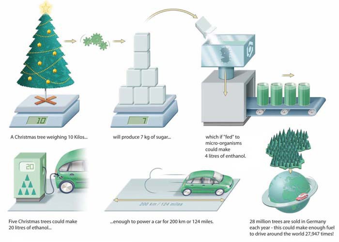 Infographic: Hoeveel energie zit er in een kerstboom