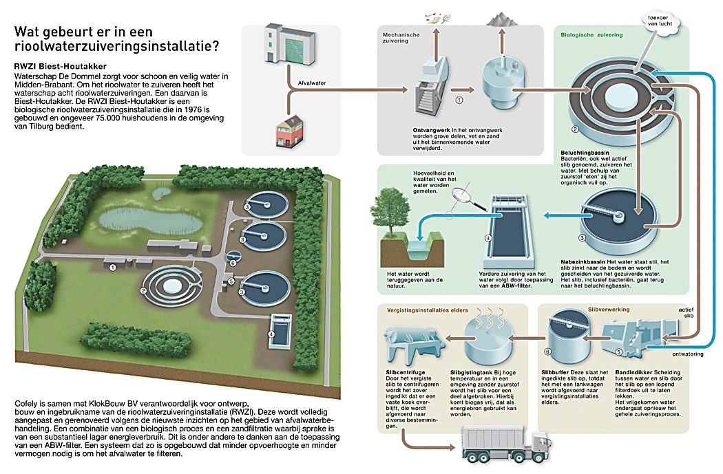Infographic biologische rioolwaterzuivering